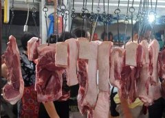 病害肉檢測儀為消費(fèi)吃上放心肉“保駕護(hù)航”